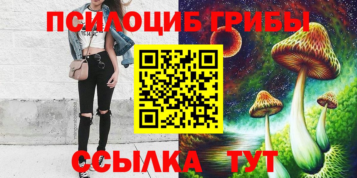 Псилоцибиновые грибы Psilocybine cubensis  Вход с VPN  Луховицы 